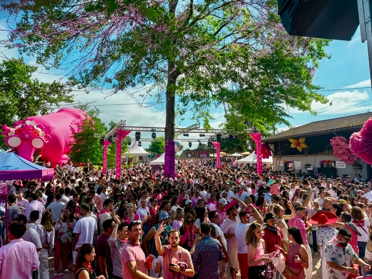 Le public de VacaRosa réuni en plein air au milieu des vignes