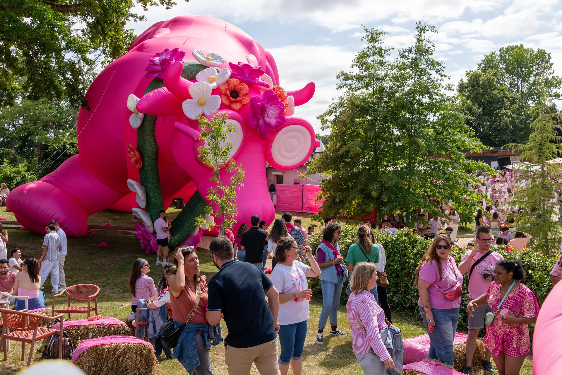 Vaca Rosa 2026 – photo 7