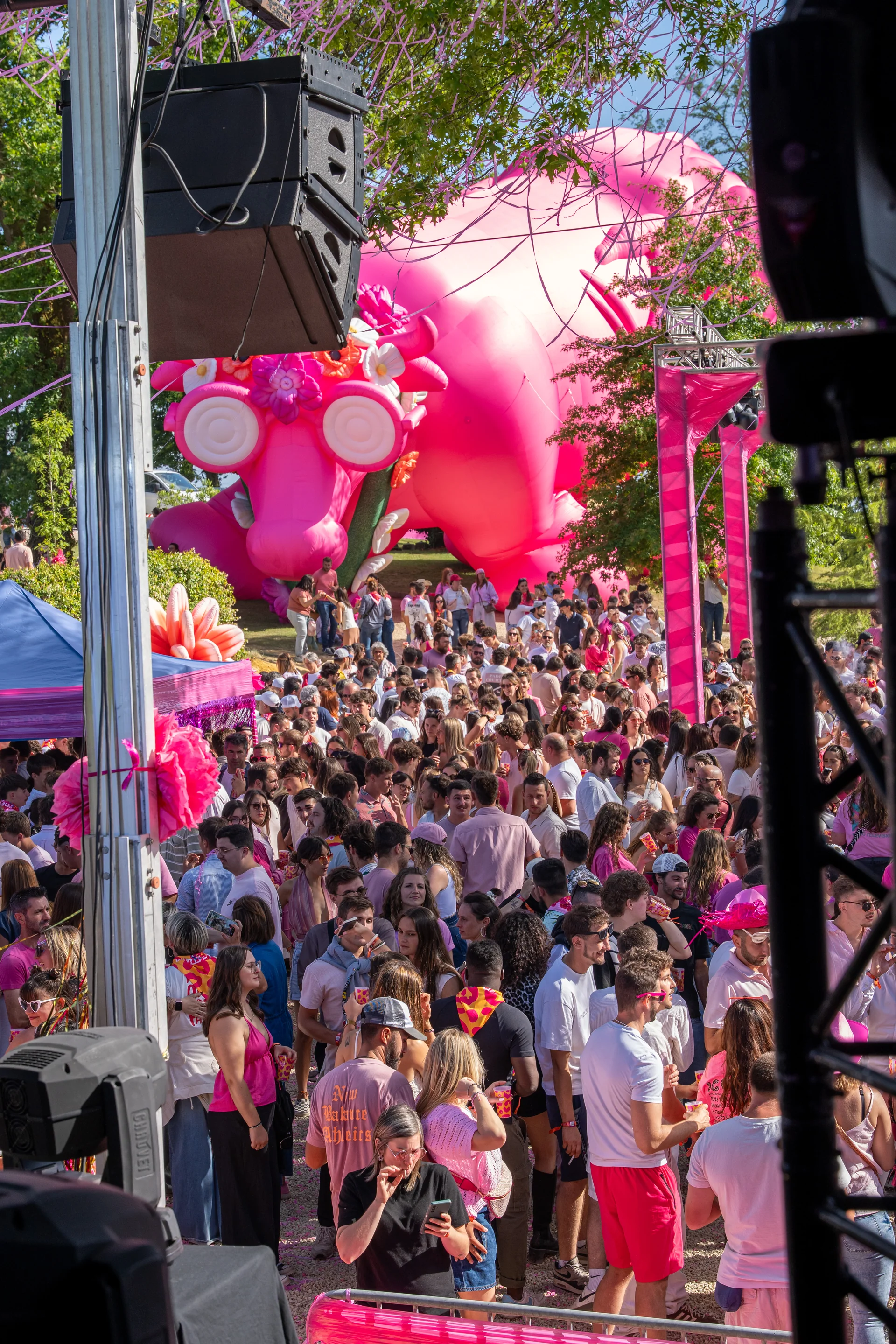 Vaca Rosa 2026 – photo 73