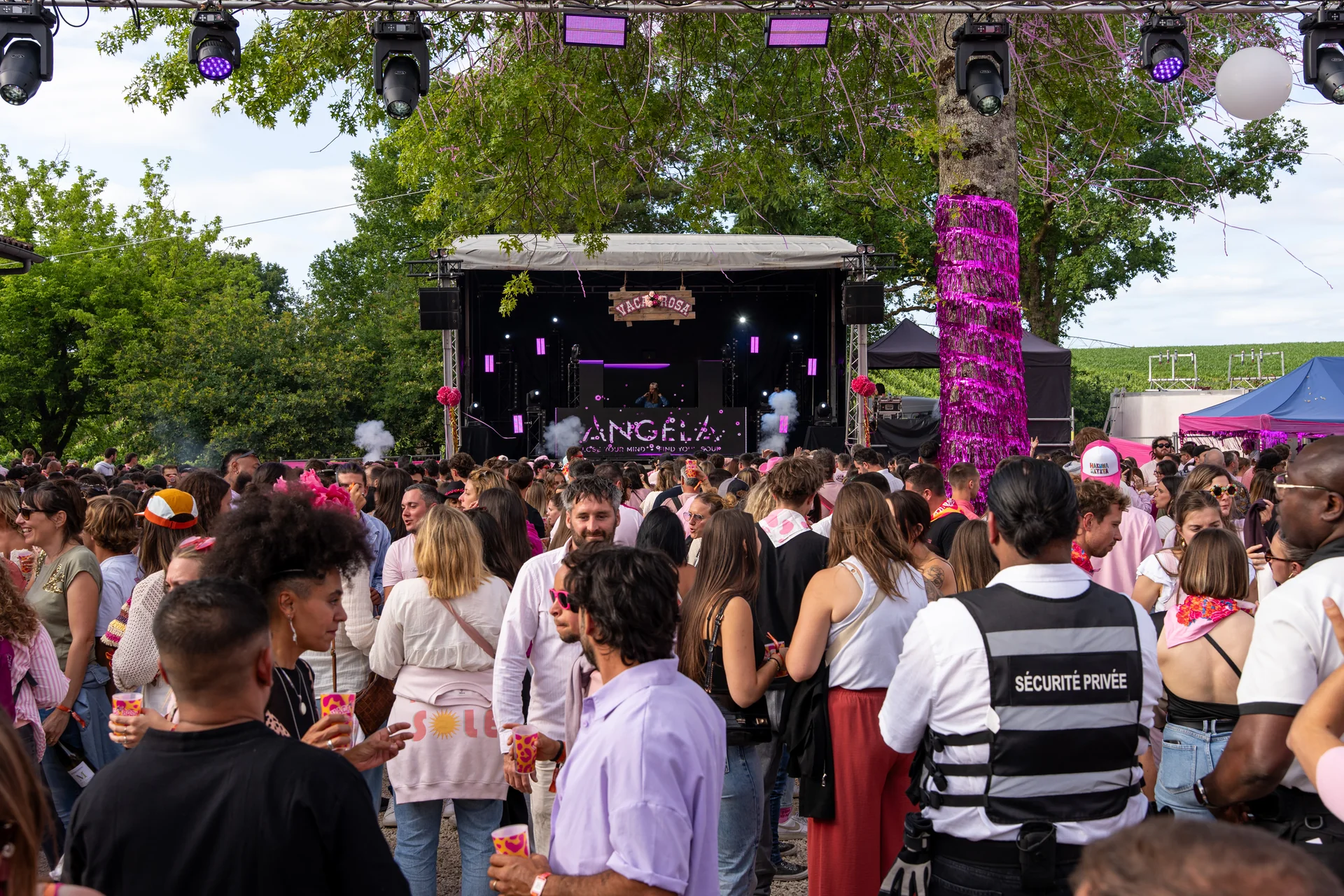 Vaca Rosa 2026 – photo 101